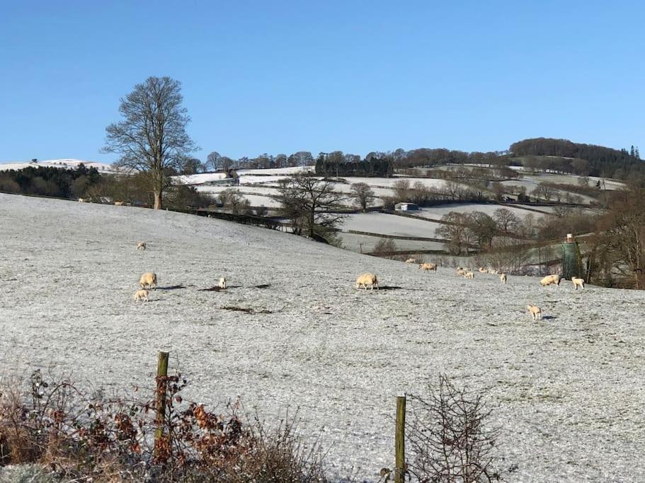 5F Stanley Lodge, Caer Beris, Builth Wells - No Tradesman Luaran gambar